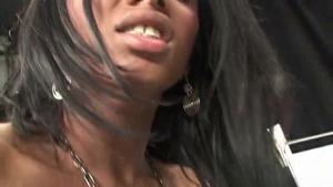 Transsexual Roadtrip: Shemale Tryst #1